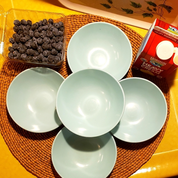 STETSON Countour Melmac by Stetson VTG MCM 5-¼ “ Berry Bowls - Set of 5 - Blue - Picture 2 of 9